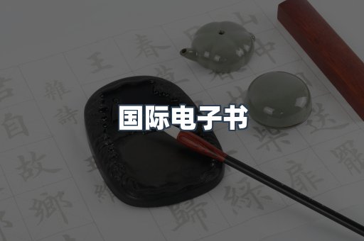 国际电子书
